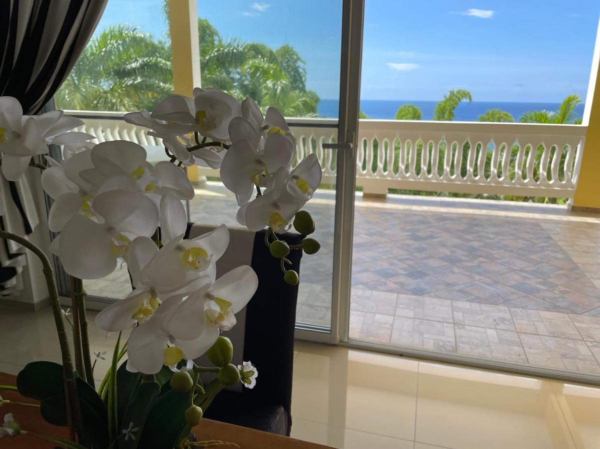 Spring Garden Mobay Resort Luxurious Apartments Montego Bay Esterno foto